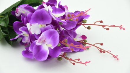 purple-flowers-667043
